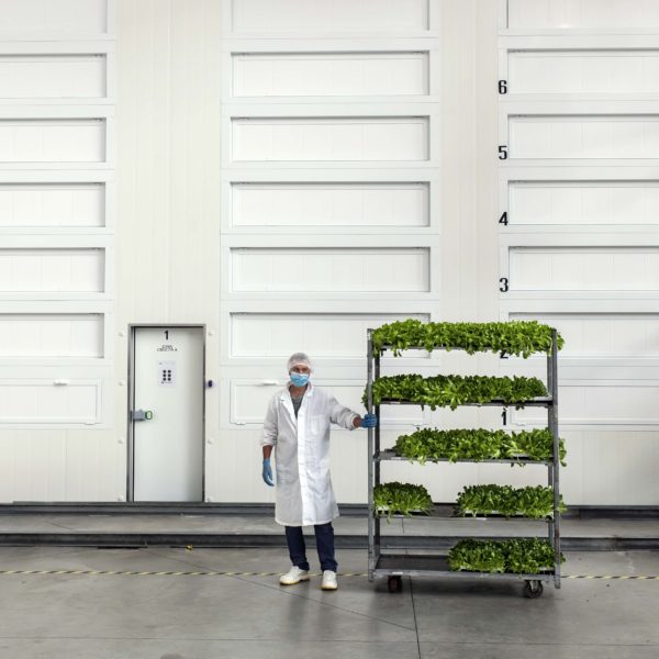 Melzo, Milan.

Said Daani, Technician (Directs and manages the tecnical operation and inventory inside the farm, such as sowing and harvesting.) in front of Vertical Farm at Agricola Moderna.
